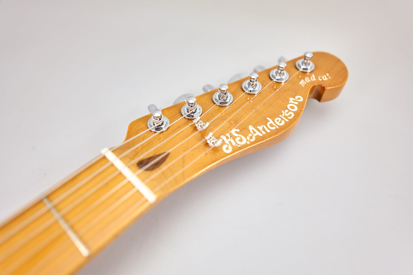 H.S. Anderson Mad Cat V3 Guitar