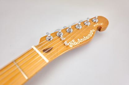 H.S. Anderson Mad Cat V3 Guitar