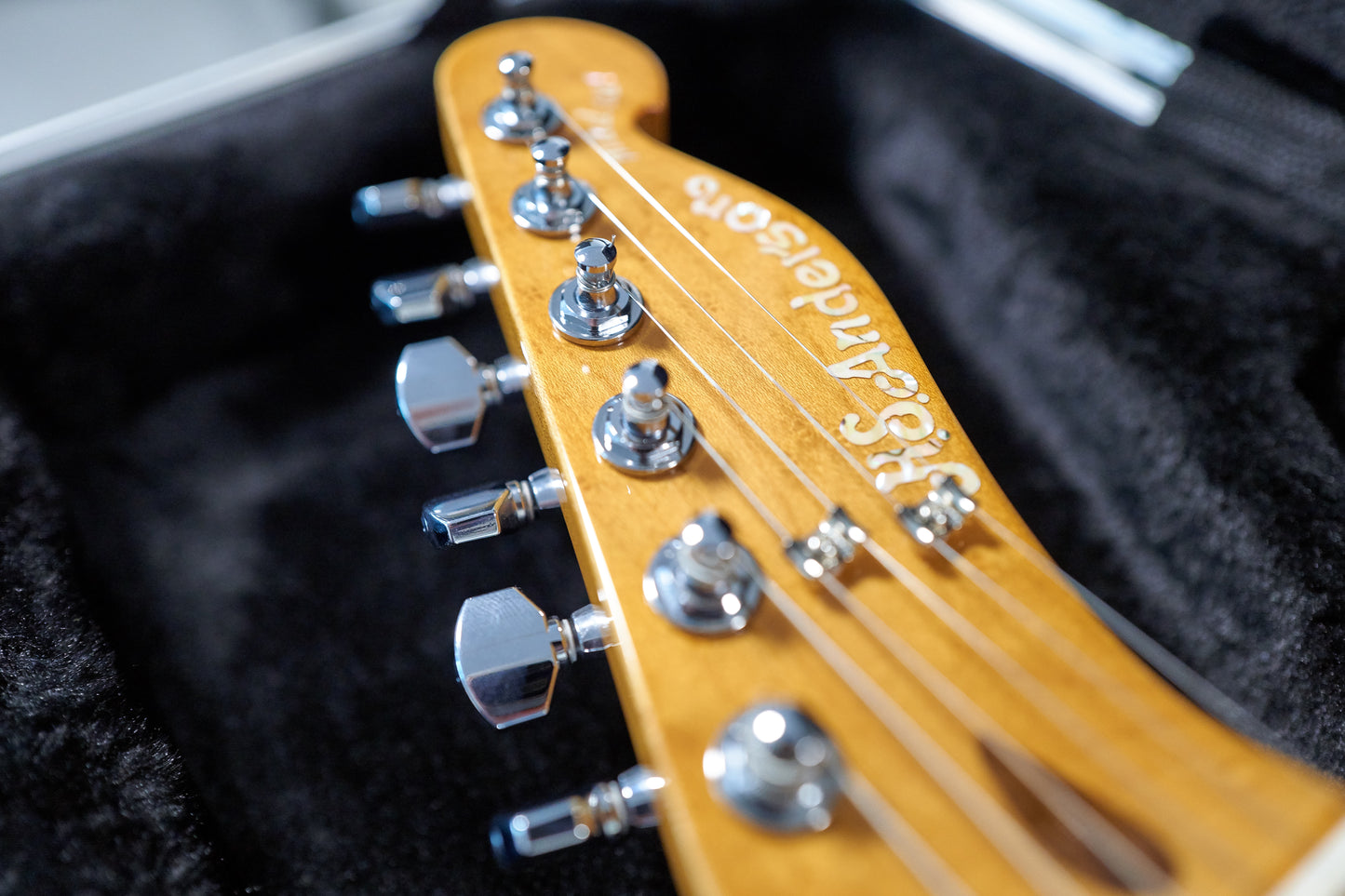 H.S. Anderson Mad Cat V3 Guitar