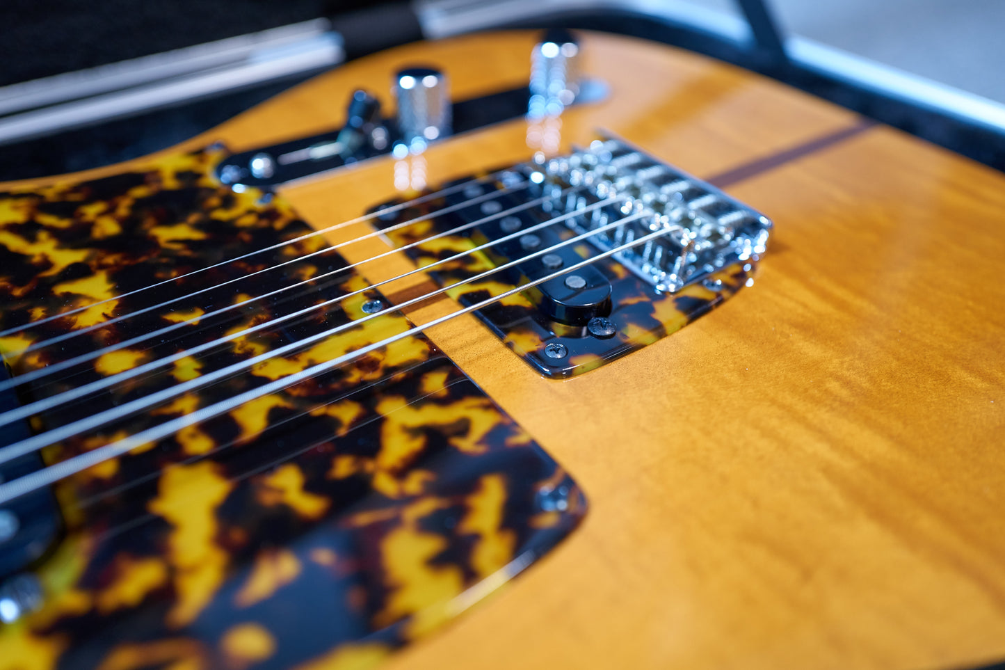 H.S. Anderson Mad Cat V3 Guitar