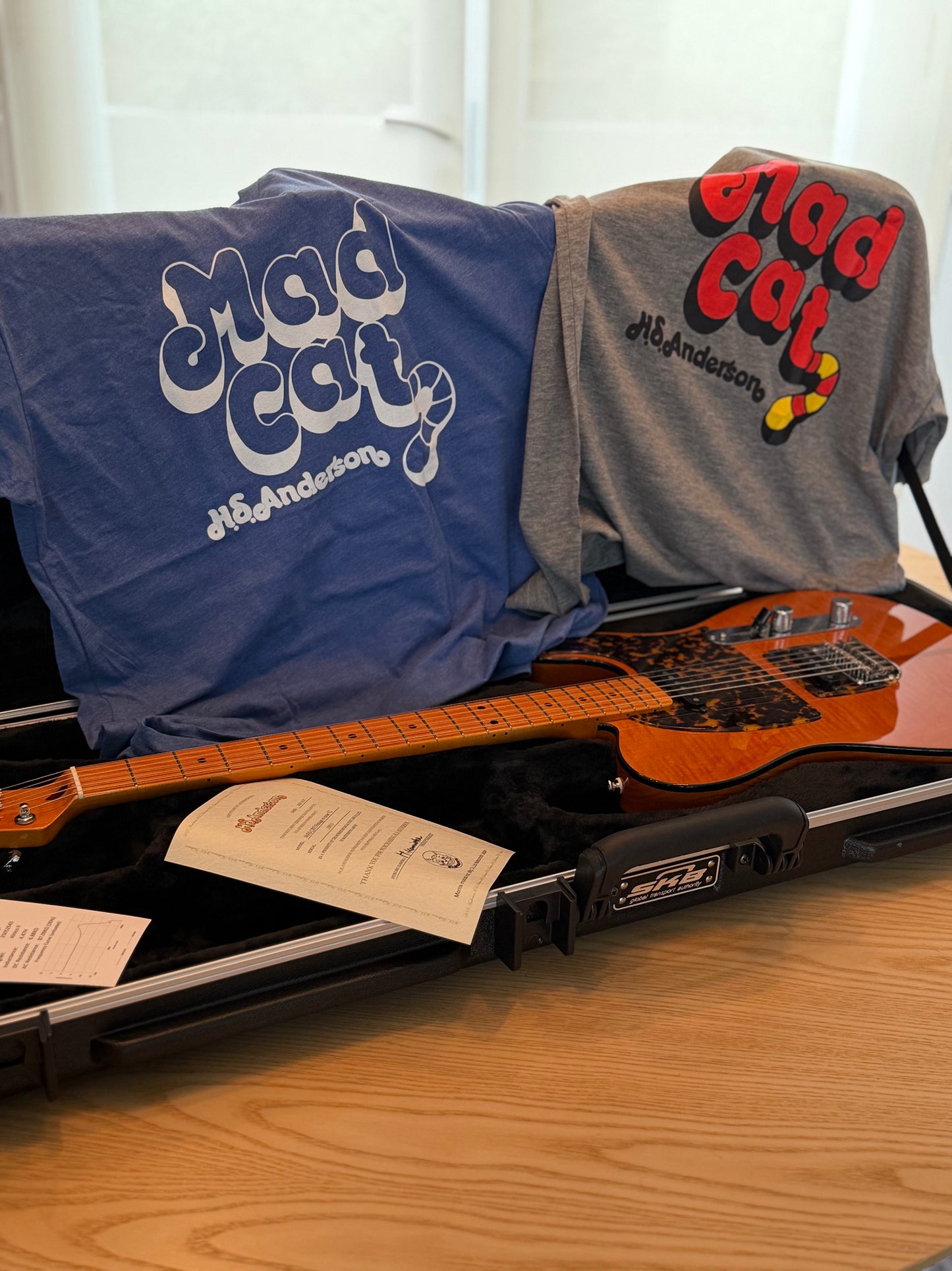 H.S. Anderson Mad Cat V3 Guitar