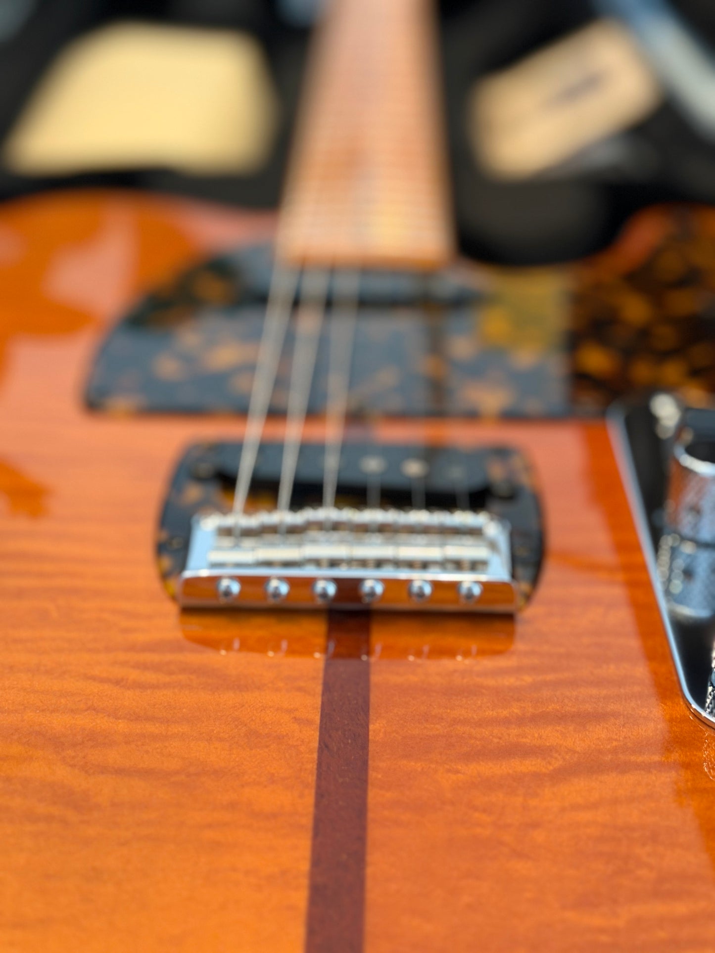 H.S. Anderson Mad Cat V3 Guitar
