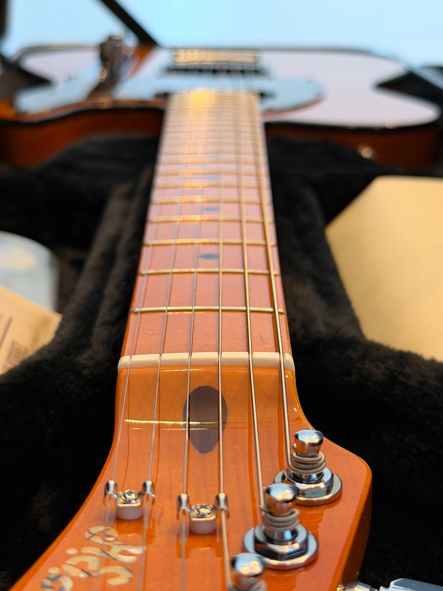 H.S. Anderson Mad Cat V3 Guitar