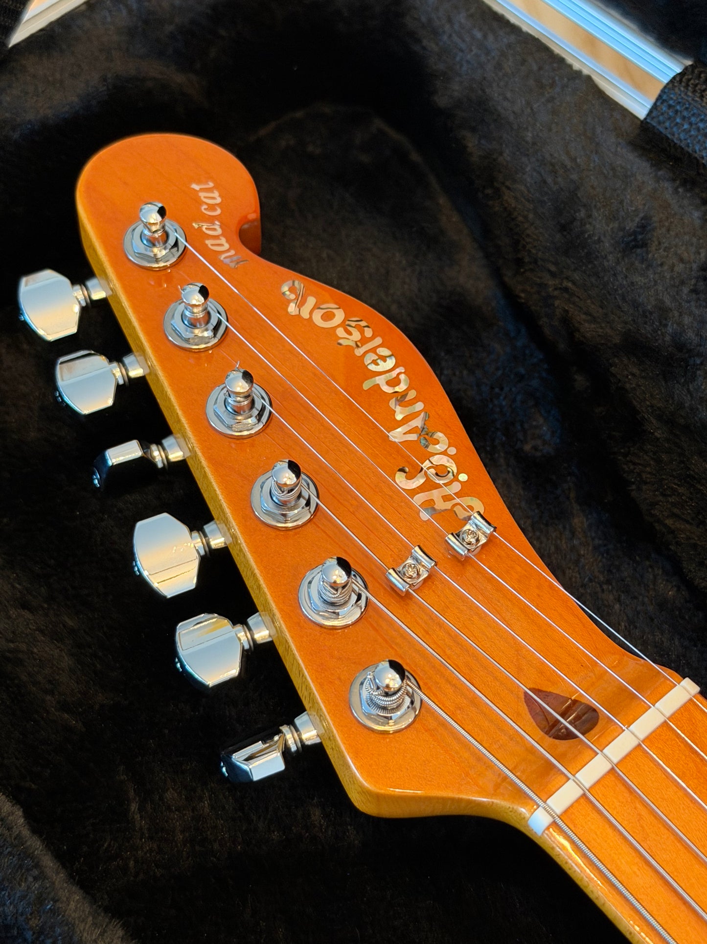 H.S. Anderson Mad Cat V3 Guitar