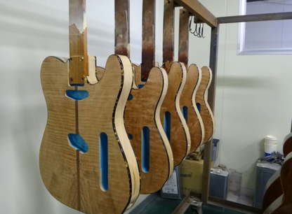 H.S. Anderson Mad Cat V3 Guitar