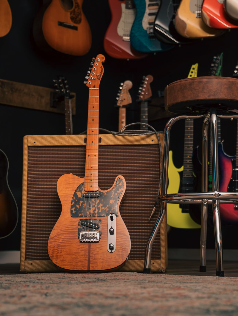 H.S. Anderson Mad Cat V3 Guitar