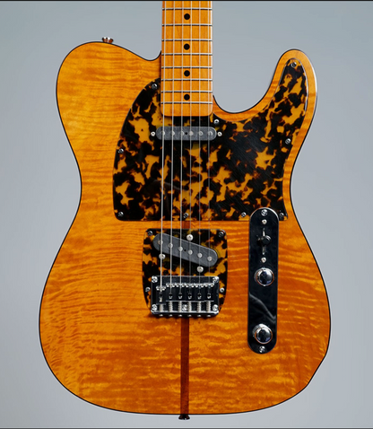 H.S. Anderson Mad Cat V3 Guitar