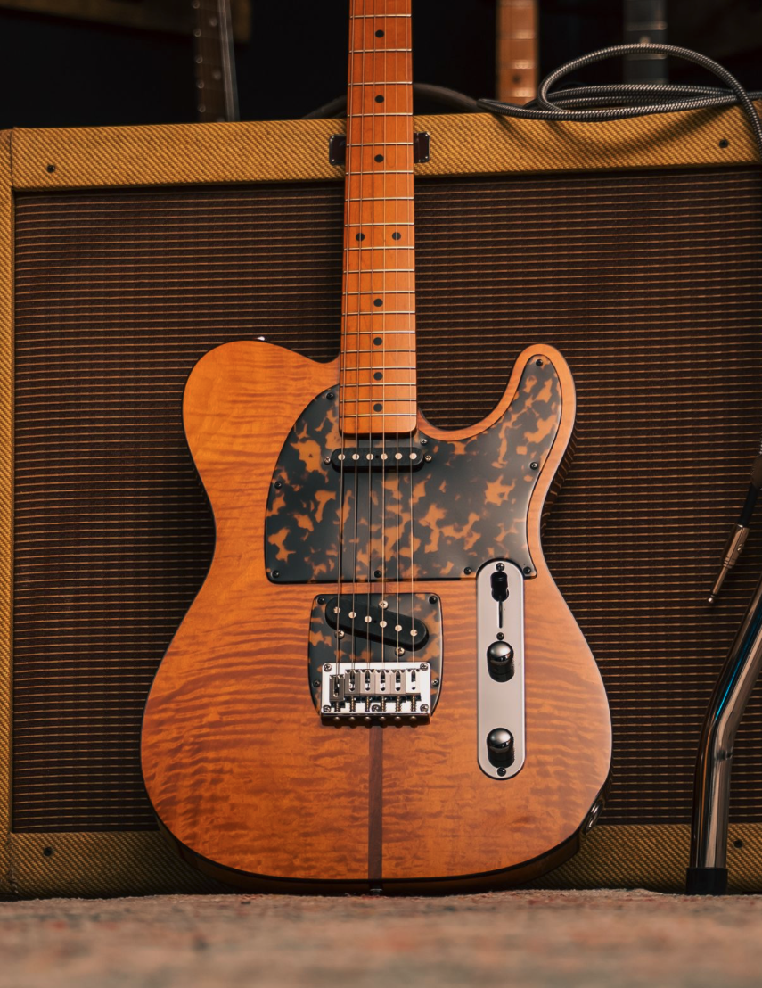 H.S. Anderson Mad Cat V3 Guitar