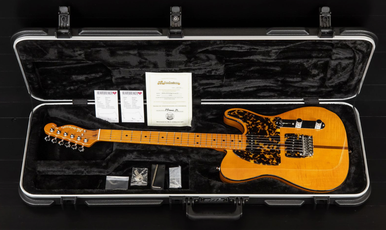 H.S. Anderson Mad Cat V3 Guitar