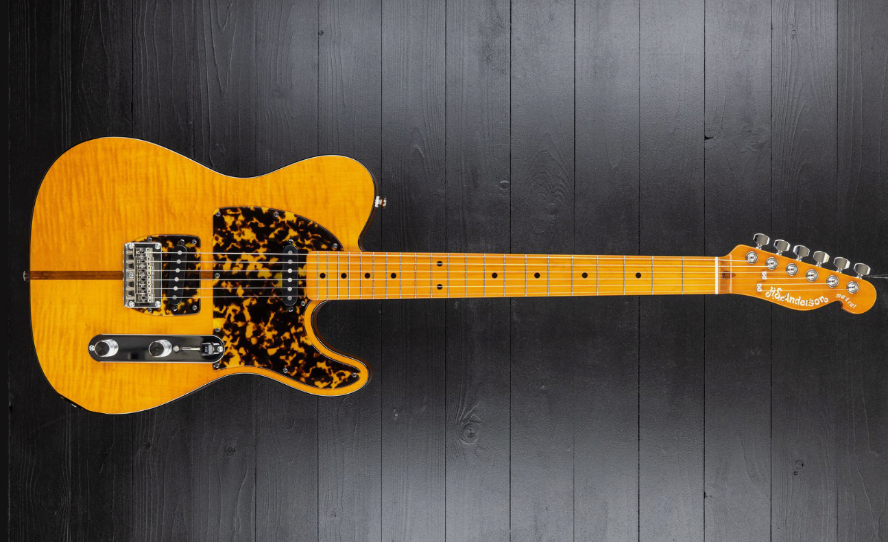 H.S. Anderson Mad Cat V3 Guitar
