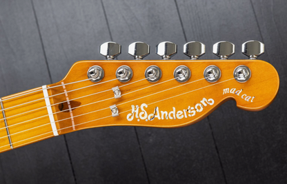 H.S. Anderson Mad Cat V3 Guitar